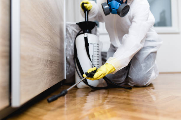 Best Affordable Pest Control Services  in Stroville, CA