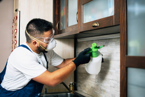 Pest Control Cost in Castroville, CA