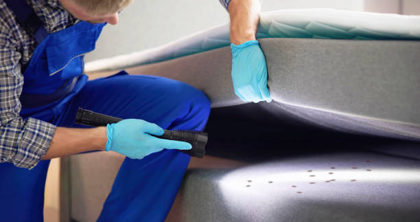 Best Best Pest Control Companies  in Stroville, CA